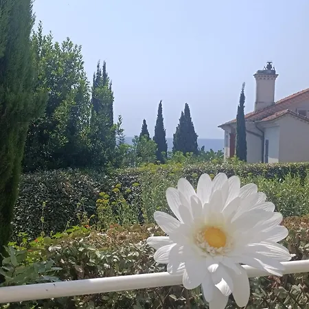 De Luxe Sun Paradis, Terrasse, Vue Piscine Lejlighed