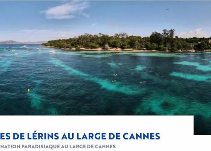 De Luxe Sun Paradis, Terrasse, Vue Piscine Cannes