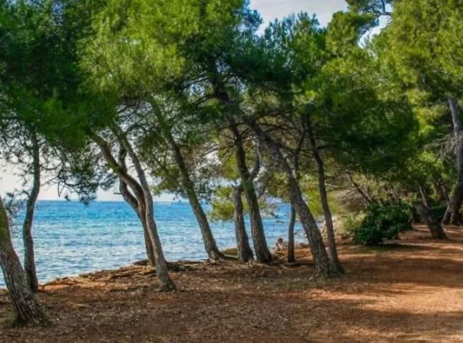 Lejlighed De Luxe Sun Paradis, Terrasse, Vue Piscine Cannes