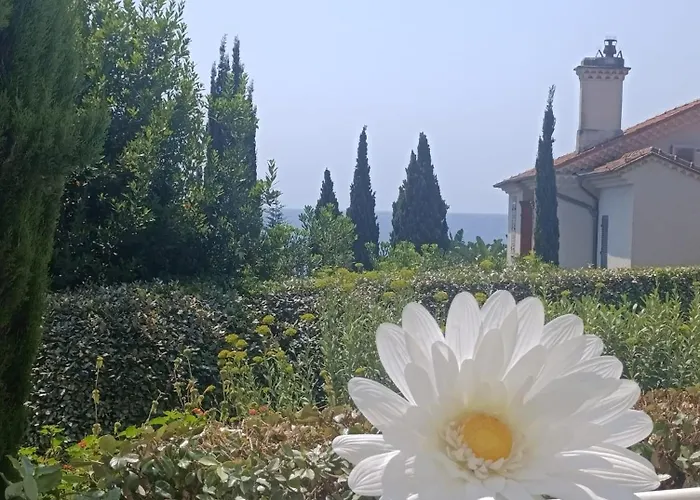 De Luxe Sun Paradis, Terrasse, Vue Piscine Lejlighed